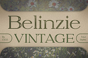 Belinzie Vintage, a Serif Font by Craft Supply Co. (Thumbnail 1 of 8)