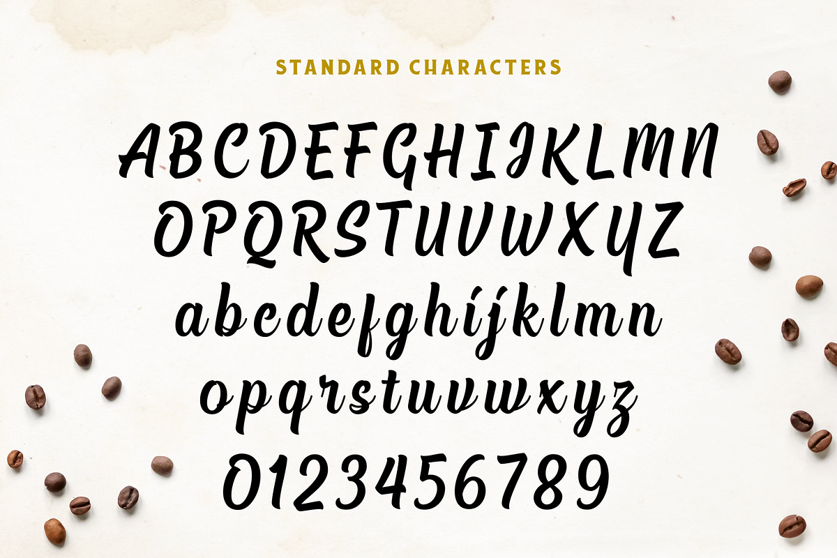 Chuck Noon Script, a Script Font by Twicolabs Fontdation (Photo 12 of 13)