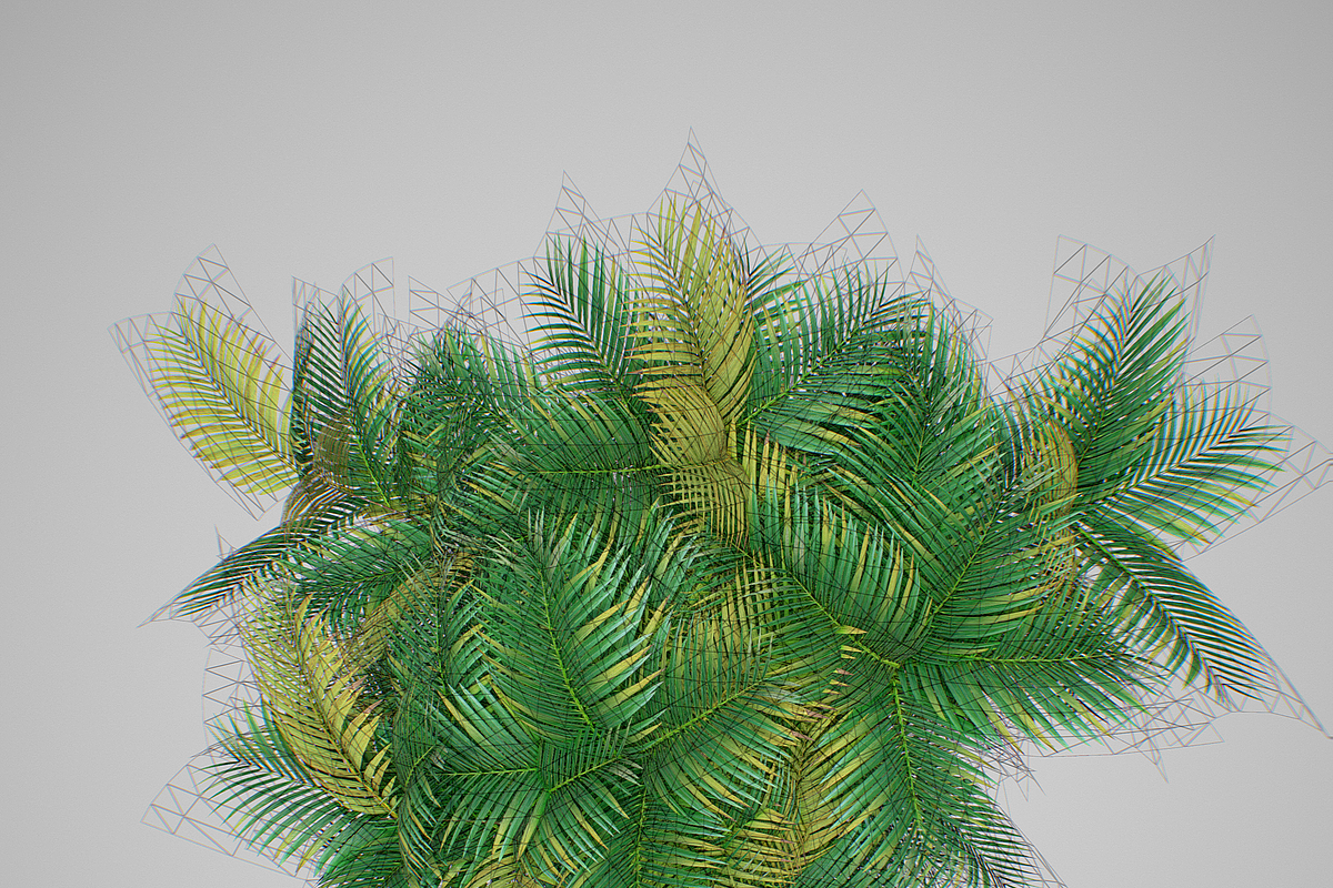 Pinanga coronata, an Environmental 3D Model by AndrewWhite (Photo 20 of 25)
