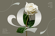 Alrays Bloom - Luxury Logo Font, a Serif Font by Nirmana Visual (Thumbnail 4 of 15)
