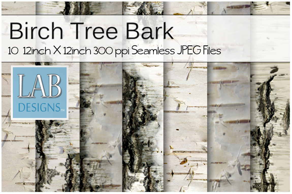 10 Birch Tree Bark Textures by Lab Designs  Creative Market