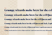Ornable Experimental Typeface, a Serif Font by Casloop Studio (Thumbnail 7 of 8)