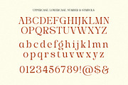 Stylish Average - Elegant Alternates, a Serif Font by Shakira Studio (Thumbnail 9 of 10)