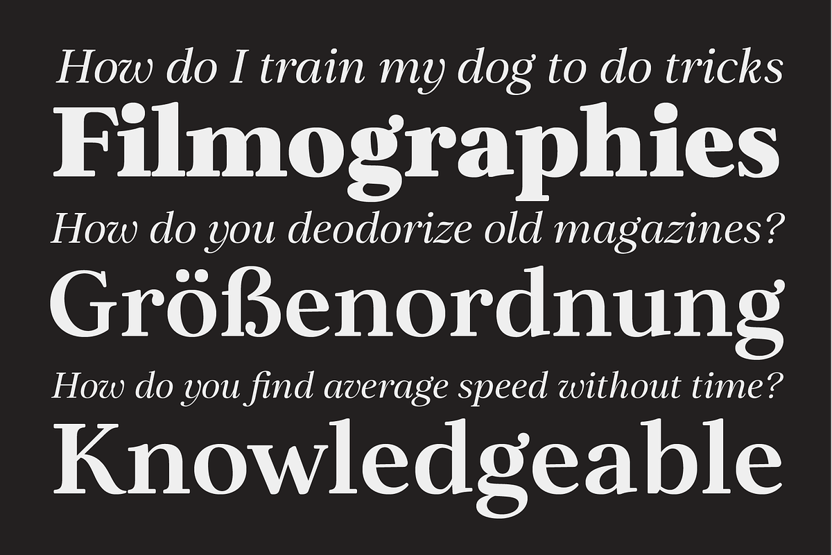 Elgraine – 18 Fonts, a Serif Font by Nasir Udin (Photo 4 of 14)