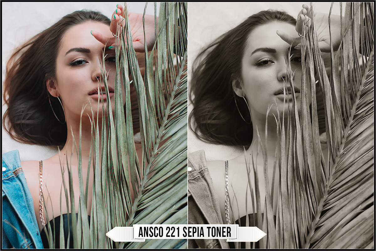 Darkroom Toners - Sepia Profiles, a Plug-in Add-On by Raztrend (Photo 4 of 30)