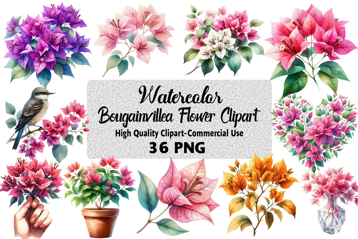 Bougainvillea Flower Clipart Bundle, an Illustration by Daily.Designs (Photo 1 of 5)