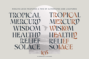 Roslyn Leigh - Display Serif