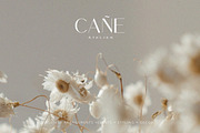 Valuxe  - Minimal & Elegant, a Sans Serif Font by Tammami (Thumbnail 9 of 12)