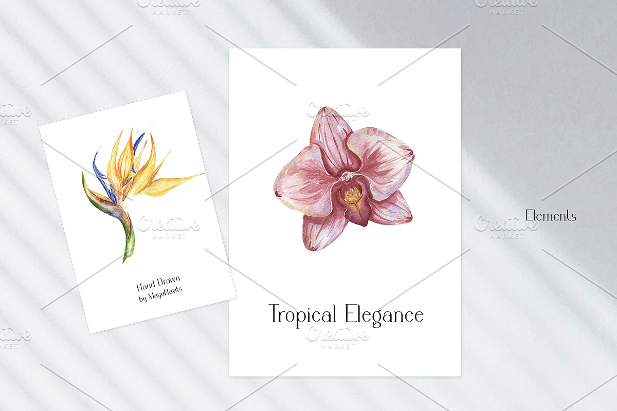 Watercolor Tropical Elegance, a Decorative Illustration by MayaNavits (Photo 6 of 9)