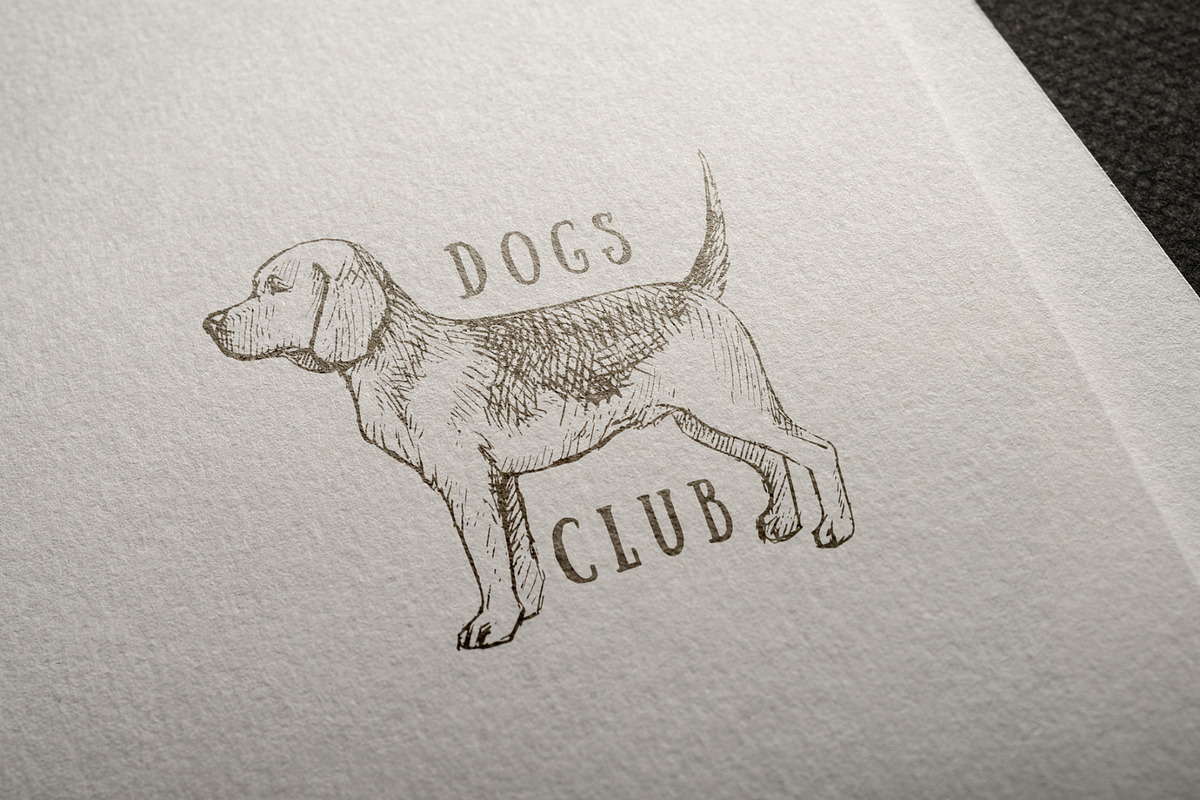 Dog breeds vintage hand drawn vector, an Illustration by Aquatinta (Photo 6 of 8)