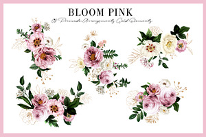 Bloom Pink Rose