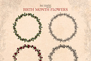 Birth Month Flowers Handcrafted, a Decorative Illustration by Ink Stories (Thumbnail 8 of 15)