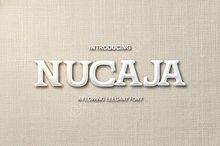 Nucaja | Elegant Modern Serif Typefa