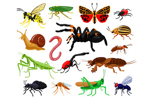 Cartoon Insects. Wood And Garden