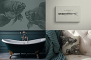 Aquatic Natural History Collection, an Object Graphic by Blixa 6 Studios (Thumbnail 5 of 24)