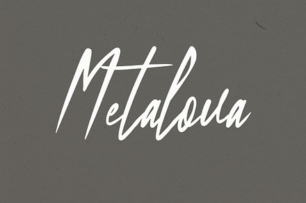 Metalova Elegant Script Font, a Script Font by NTC Graphic