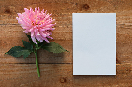 Pink flower and blank paper on wood