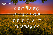 Switzerland, a Script Font by Funtype (Thumbnail 8 of 14)