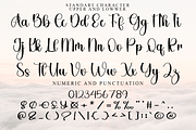 Deary, a Handwritten Font by FreshTypeINK (Thumbnail 6 of 8)