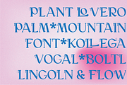 Ralagowr, a Serif Font by Portion.Labs (Thumbnail 7 of 10)