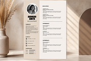 MODERN RESUME TEMPLATE (R4), a Resume Template by dulchaer29 (Thumbnail 2 of 4)