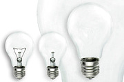 Light Bulbs, an Object Graphic by TheUrbanLine (Thumbnail 2 of 5)