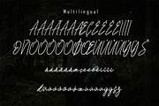 Francos Signature - Stylish Monoline, a Script Font by skiiller studio (Thumbnail 6 of 8)