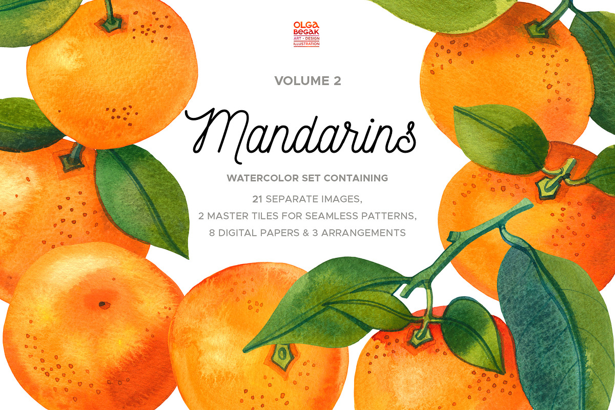 Watercolor Mandarin Fruits Vol. 2, a Food Illustration by Olga Begak Art & Design (Photo 1 of 8)