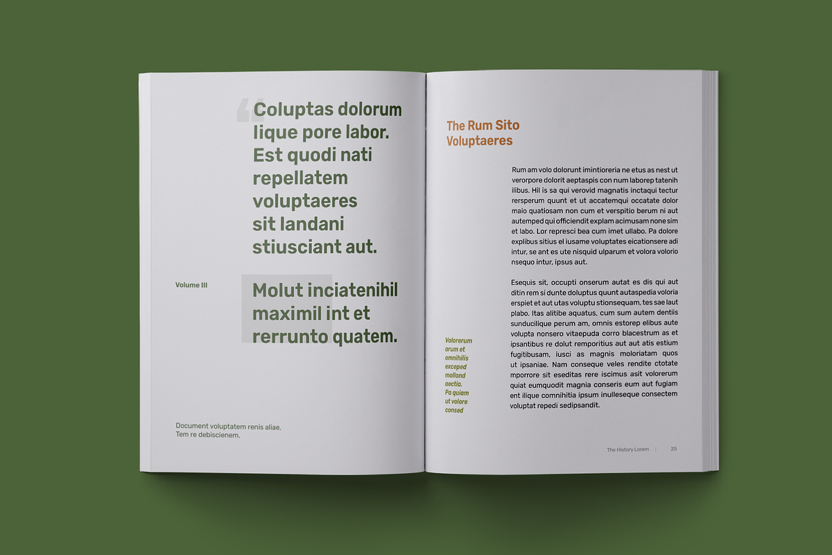 History Book Print Template, a Stationery Template by Meknya (Photo 5 of 14)
