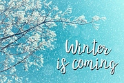 LoveStory - gentle script font, a Script Font by wowomnom (Thumbnail 9 of 15)