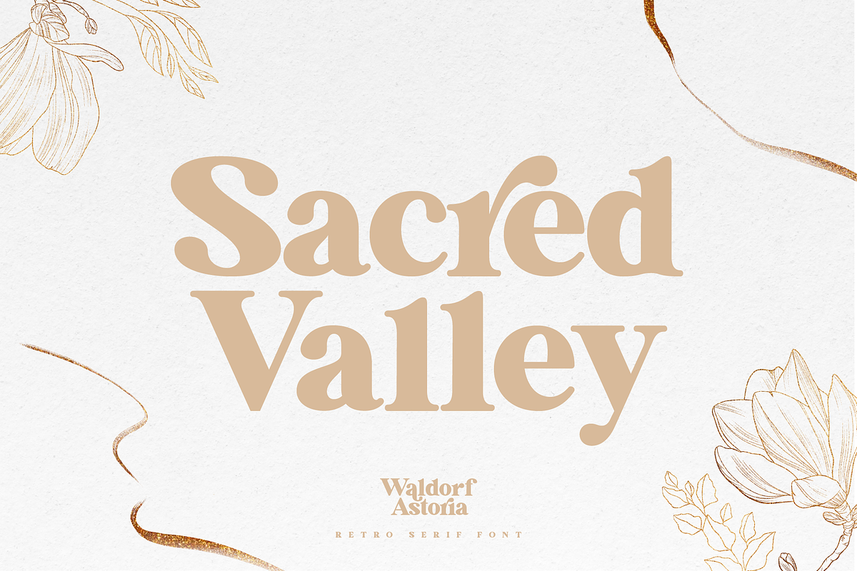 Waldorf Astoria Modern Vintage Font, a Serif Font by Pen Culture (Photo 8 of 11)
