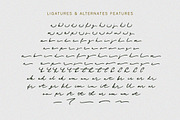 Magic Gleam - Script Handwritten, a Script Font by Letterhend Studio (Thumbnail 8 of 9)