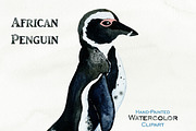 Cute Watercolor Penguin Illustration, an Animal Illustration by ClipartBrat Graphics (Thumbnail 2 of 3)