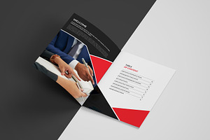 Business Brochure Company Profile