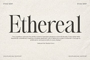 Etoile Club Chaos | 16 Font, a Serif Font by Natural Ink Studio (Thumbnail 3 of 15)