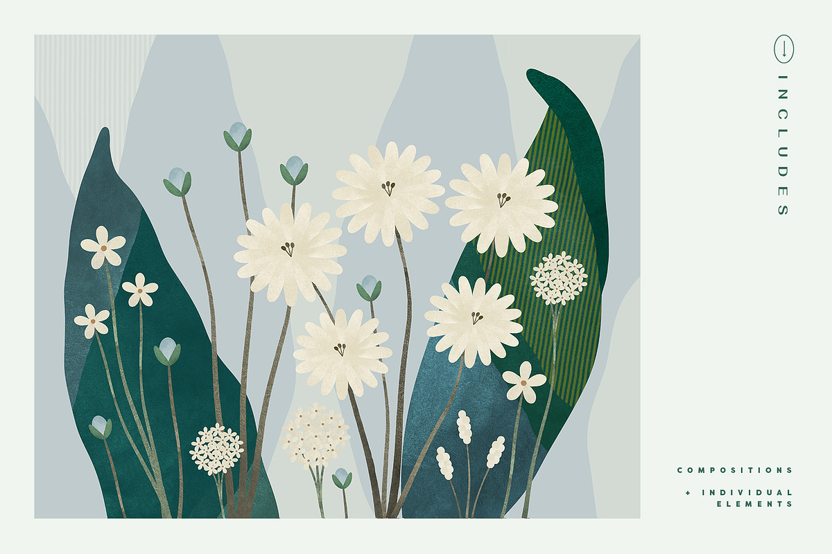Painted Flowers and Compositions, an Object Graphic by Basia Stryjecka (Photo 8 of 19)