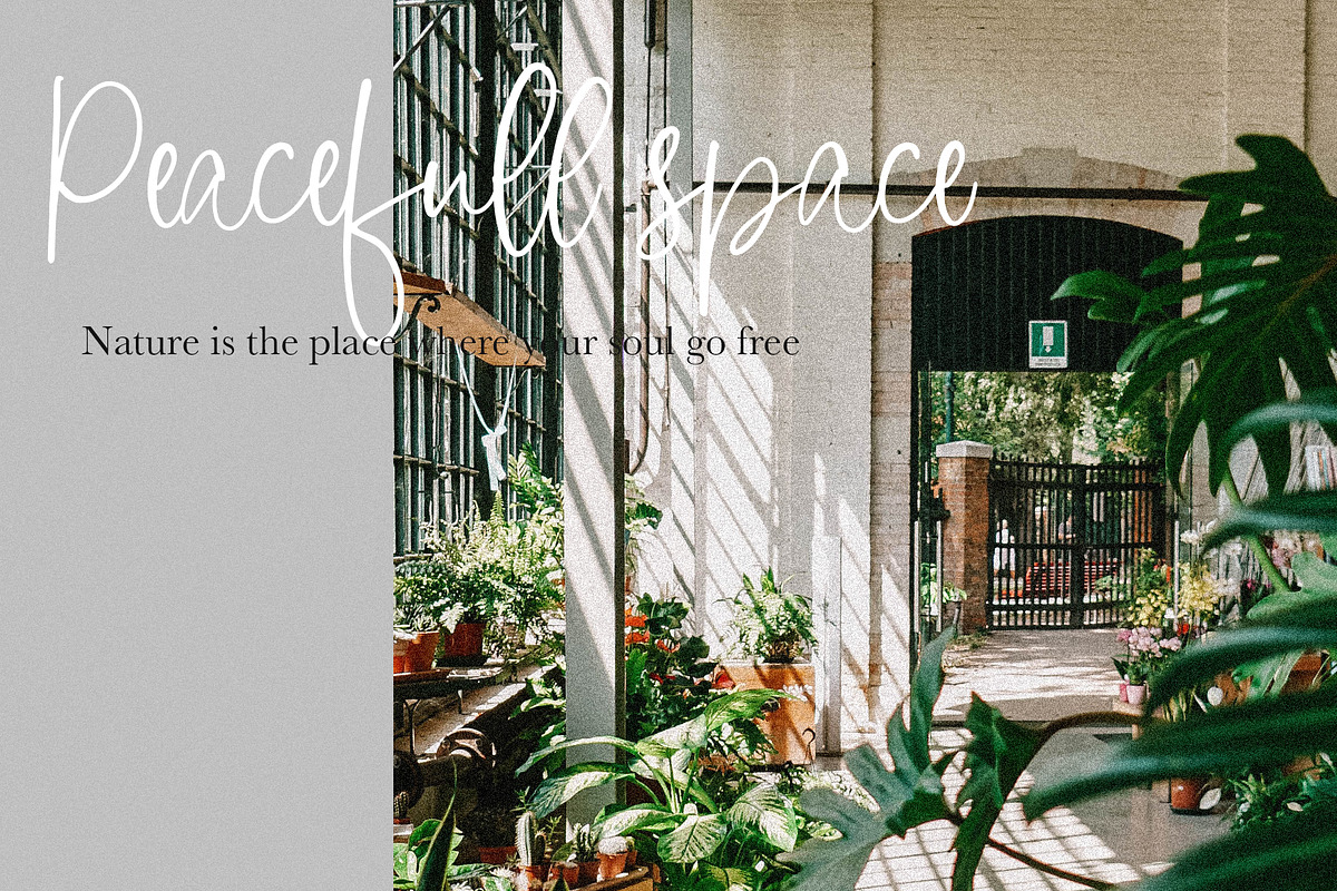 Just Write | Script Font, a Script Font by Jolicia Type (Photo 8 of 9)