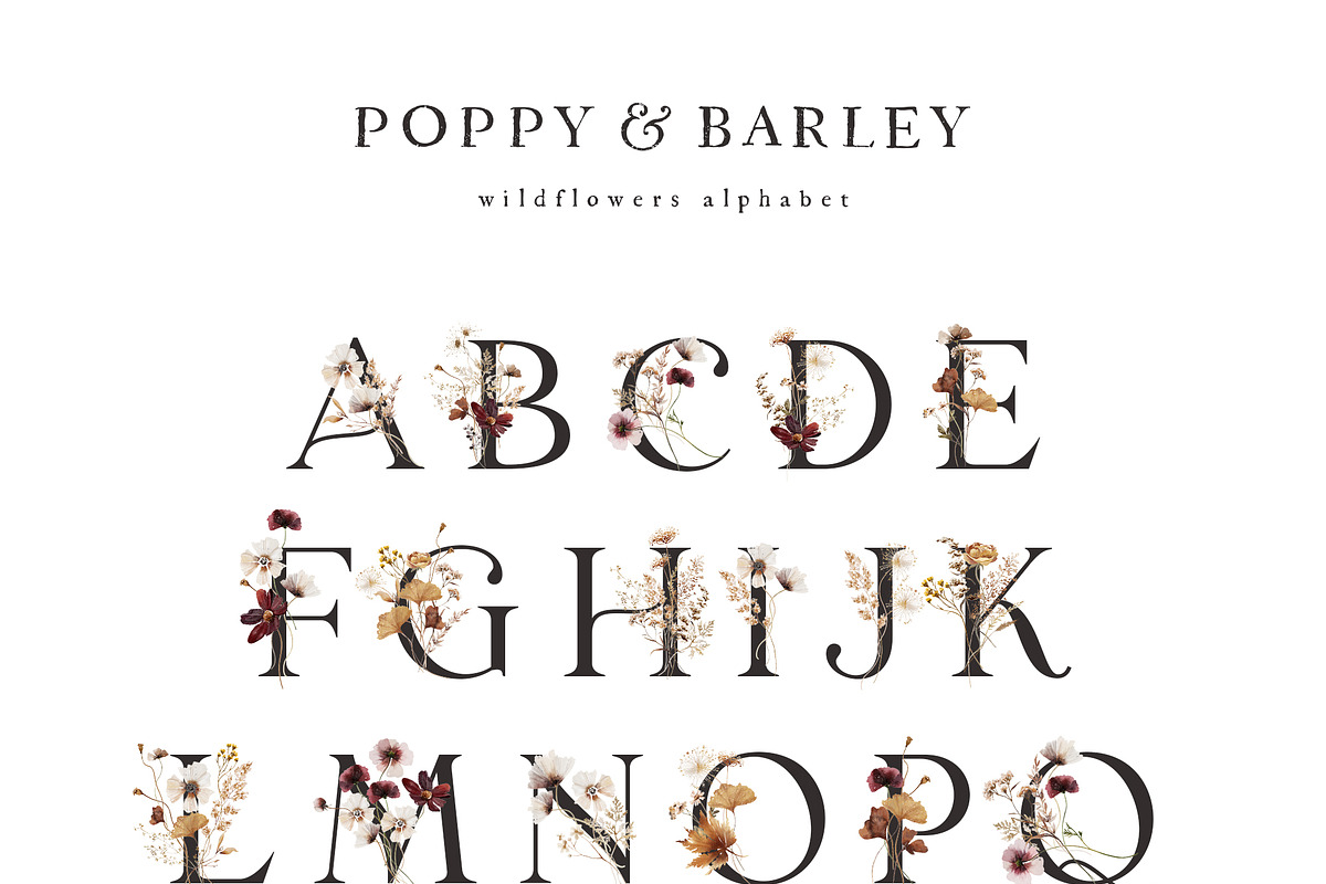 POPPY & BARLEY Autumn Wildflowers, a Seasonal Illustration by Muse Artist (Photo 5 of 14)