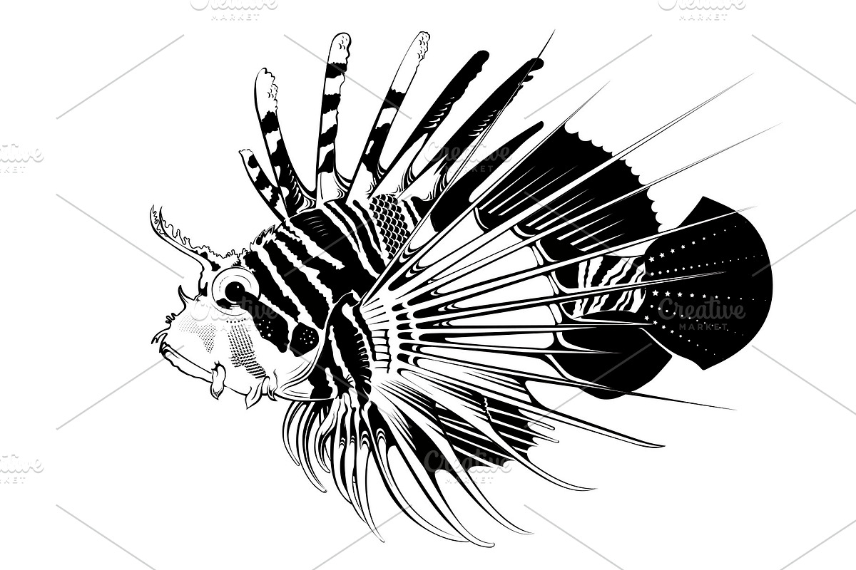 Tropical fish. Vector illustration, an Animal Illustration by Tettygreen (Photo 1 of 3)