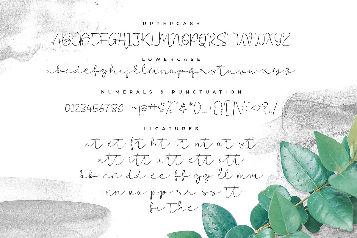 Vigetha Script Font, a Script Font by Awanstudio (Photo 10 of 10)