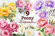 Peony Watercolor Clipart Set, a Decorative Illustration by Loony Dream Designs (Thumbnail 1 of 4)