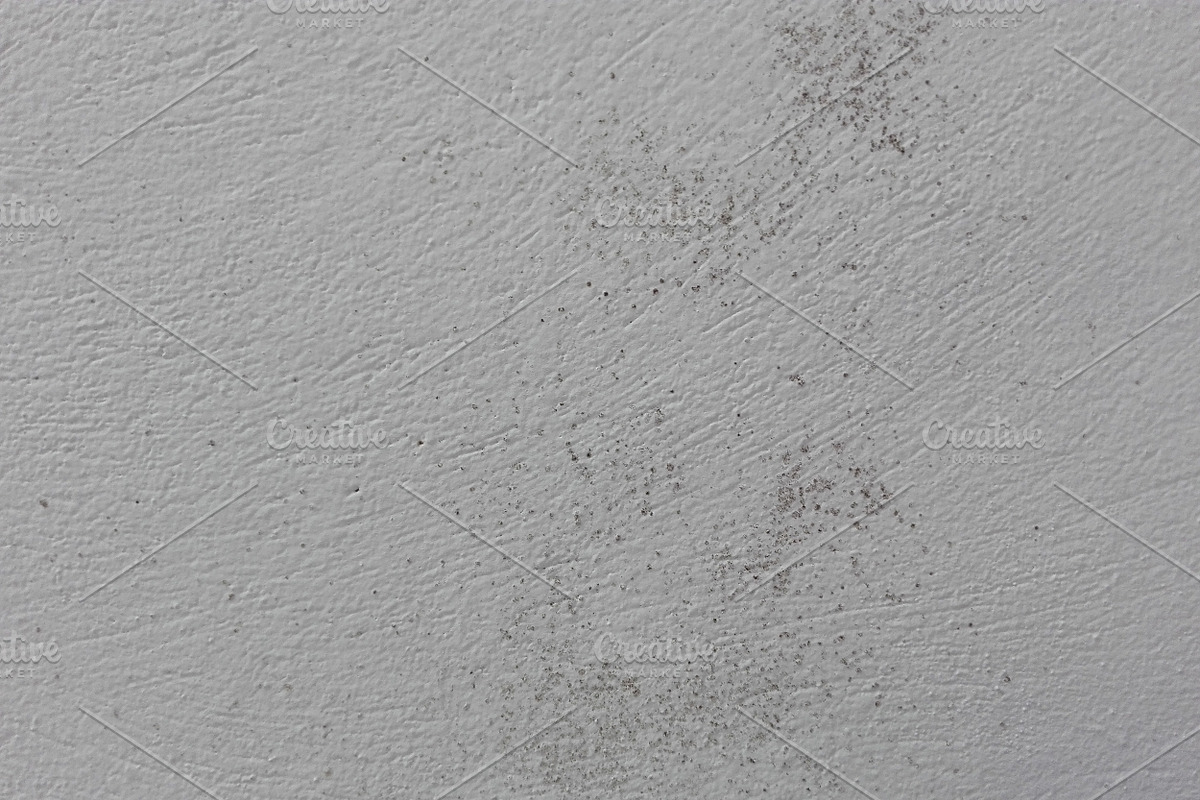 Mold Wall Texture Pack, a Texture Graphic by The_DrX (Photo 8 of 13)
