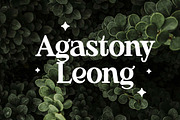 Gardigly Serif Display Font, a Serif Font by UICreative (Thumbnail 10 of 13)