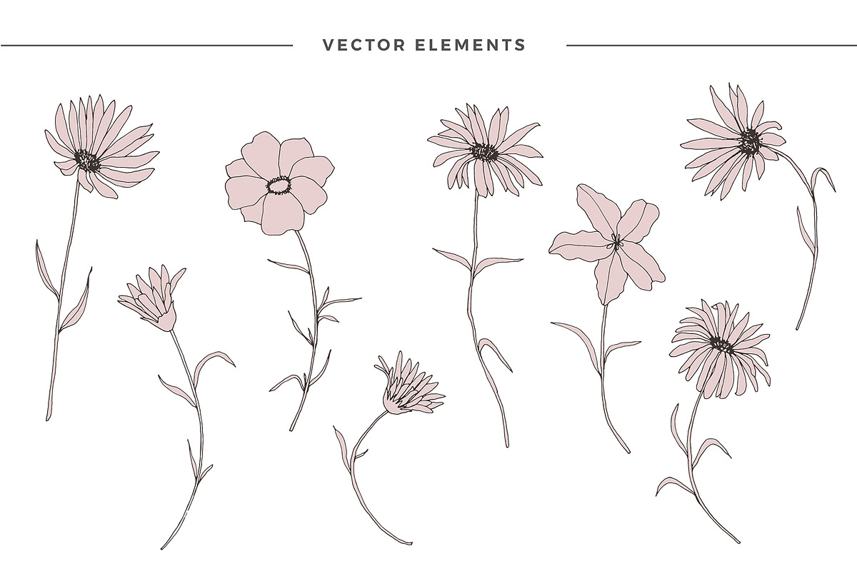 Dainty Floral Patterns Elements, a Pattern Graphic by Youandigraphics (Photo 10 of 17)