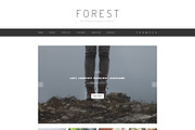Forest - Minimal Blogging Template, a Device Mockup by bigpsfan's SHOP (Thumbnail 3 of 20)