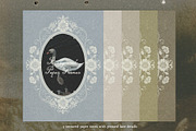 Pressed Lace Frames, an Object Graphic by lerinartstudio (Thumbnail 7 of 13)