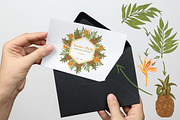 Tropical fruits collection, a Decorative Illustration by TashaDraw (Thumbnail 6 of 10)