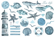 Sea life watercolor set. Nautical., an Illustration by SabinaWatercolorArt (Thumbnail 2 of 13)