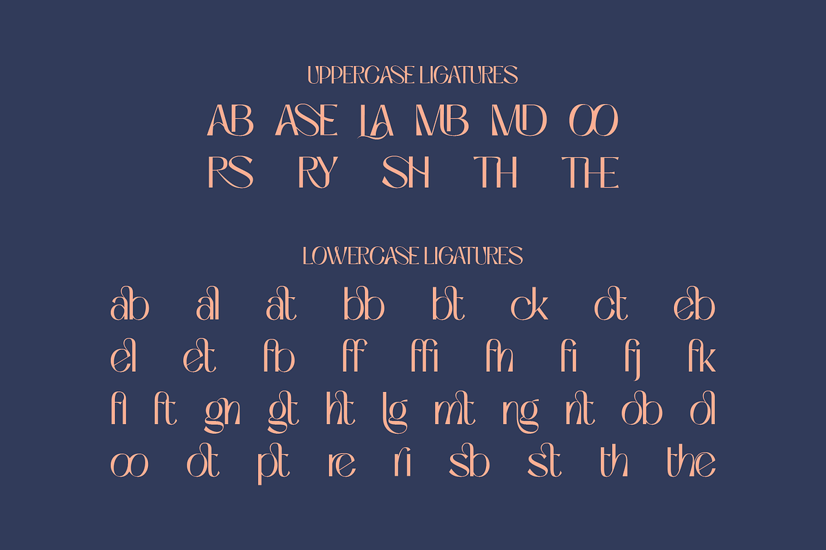 Niasec Lux Elegant Display Font, a Sans Serif Font by Casloop Studio (Photo 8 of 15)