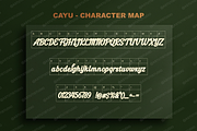 Cayu - Refined Modern Serif, a Serif Font by Astuti Studio (Thumbnail 4 of 23)